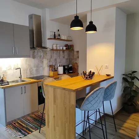 公寓 μελίτη Pelion Luxury Living 扎戈拉